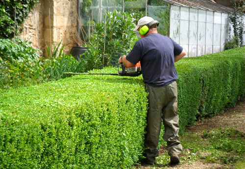 Tree Trimming Newcastle