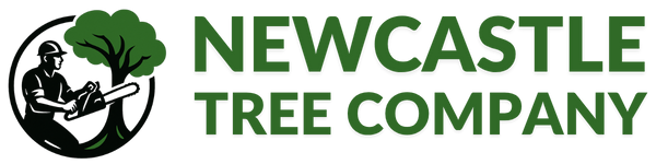 Tree Removals Newcastle Heights