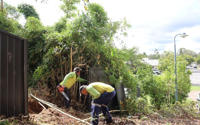 Newcastle Bamboo Removal