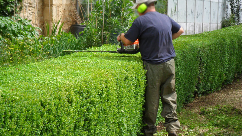 Tree Trimming Newcastle